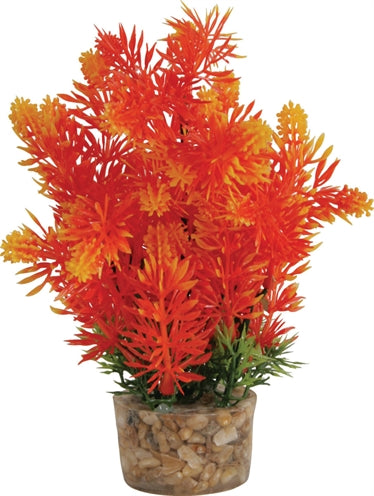 Zolux Ornament pastic plant op stenen diverse soorten