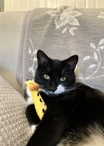 Palissander Grijpspeelgoed giraffe met knisper milieuvriendelijk gerecycled