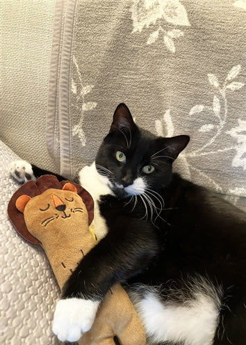 Palissander kicker leeuw milieuvriendelijk gerecycled