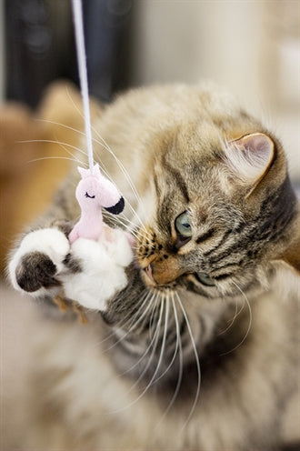 Palissander kattenhengel flamingo eco vriendelijk gerecycled