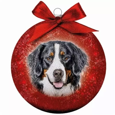 Plenty Gifts kerstbal mat berner sennen rood