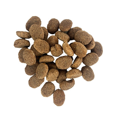 Excellent adult lam rijst