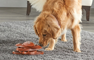 Brightkins touchdown time treat-puzzel