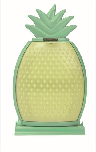 Fofos ananas kattenkam