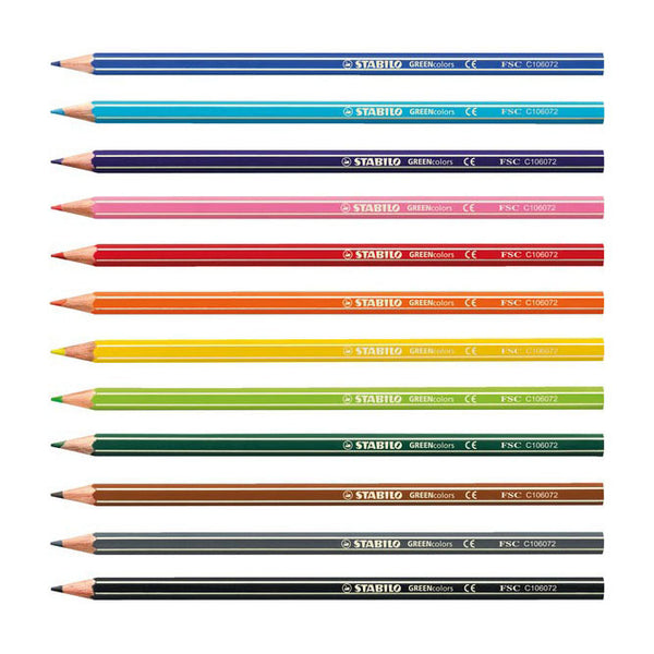 Abi stlo greencolors arty colored pencils case of 12
