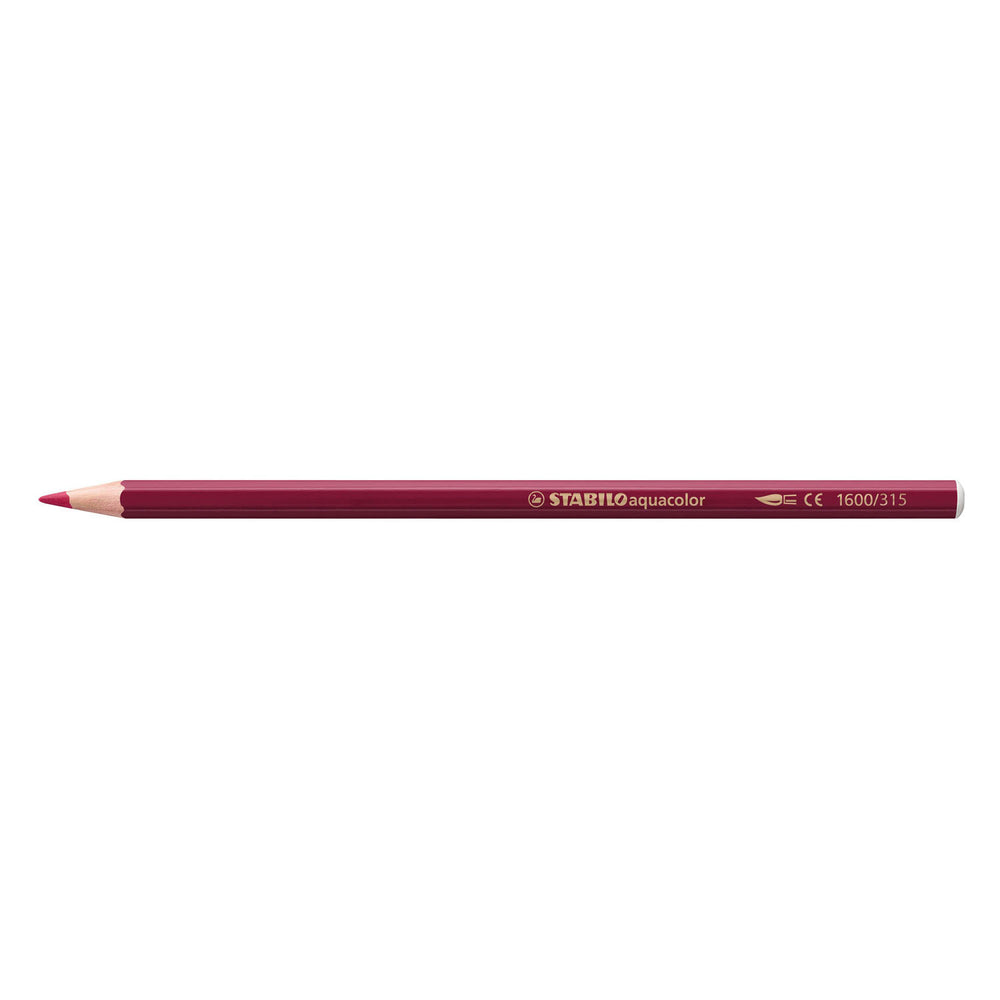 Stabilo aquacolor - premium aquarel kleurpotloden - arty - etui met 36 kleuren