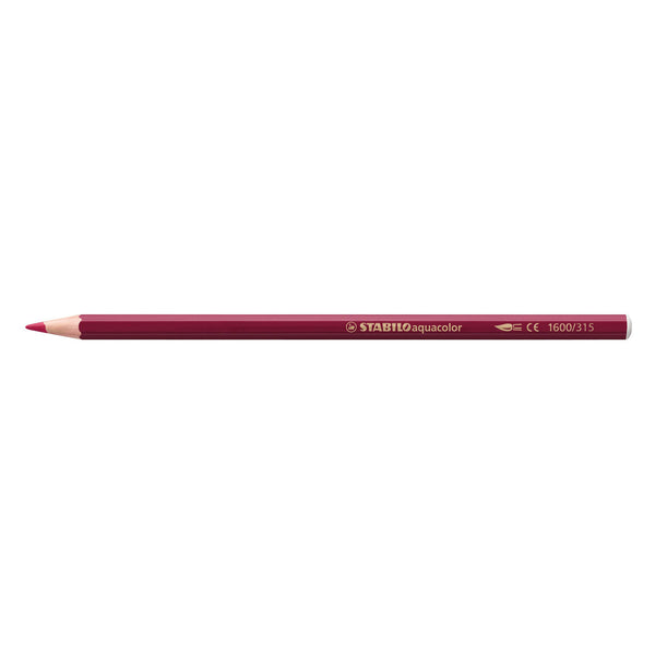 Stabilo aquacolor - premium aquarel kleurpotloden - arty - etui met 36 kleuren