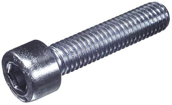 Dresselhaus kaaskopschroef 0300 cylindrical with inner6ct 6 x 10mm