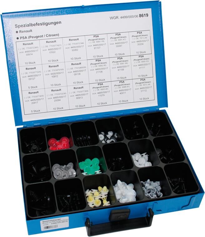 Dresselhaus speciaal bevestigings assortiment sort.special attachments renault psa 170 pcs.