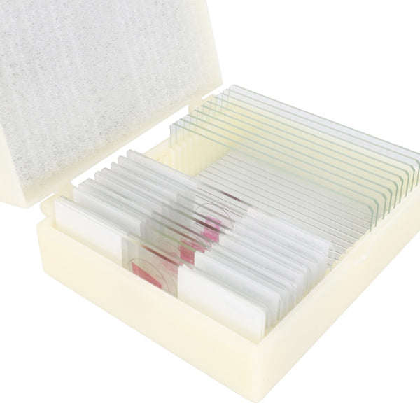 Konus Prepared Slides Set Structure Of Vegetables (10 Pieces)