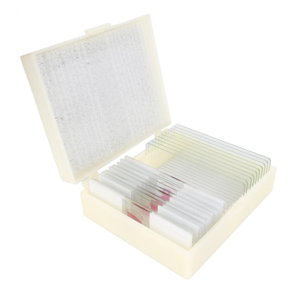 Konus Prepared Slide Set Human Tissue 1 (10 Pieces)
