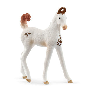 Schleich paardenclub marwari veulen 14896
