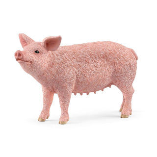 Schleich BOERDERIJWERELD Varken 13933