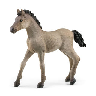 Schleich PAARDENCLUB Criollo Definitivo Veulen 13949