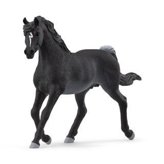 Schleich paardenclub arabische engst 13981