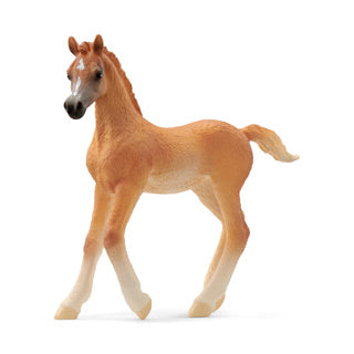 Schleich paardenclub arabisch veulen 13984