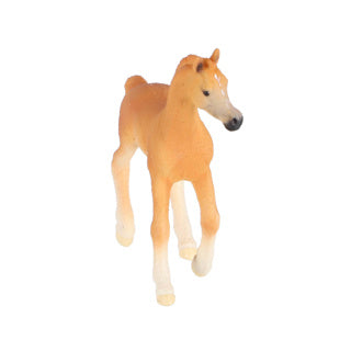Schleich paardenclub arabisch veulen 13984