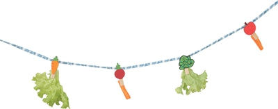 Zolux neolife snackslinger cavia blauw