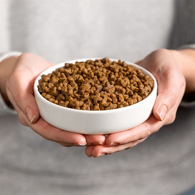 Smolke kat volwassen visrijst