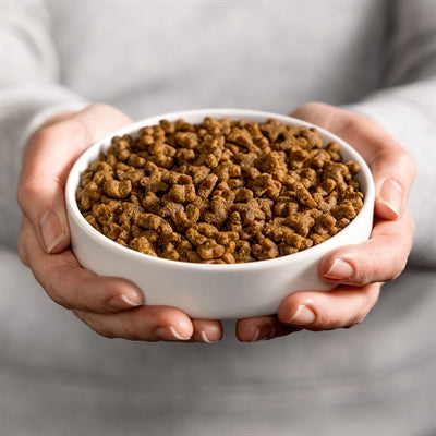 Smolke kat volwassen kip rijst