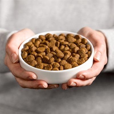 Smolke kat volwassen lam rijst