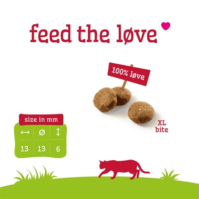 Smolke kat volwassen lam rijst