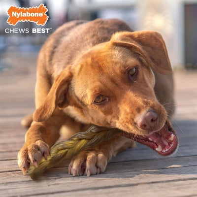 Nylabone Extreme Chew gevlochten bull stick rundsmaak