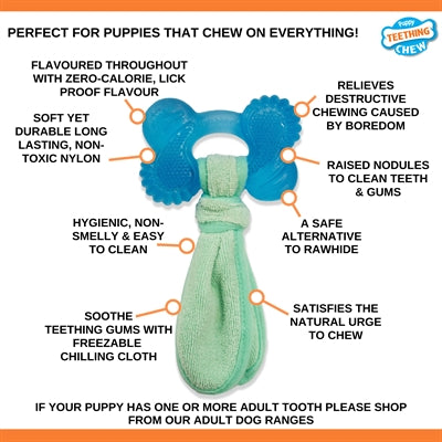 Nylabone puppy vriezer bot met washandje pindakaassmaak