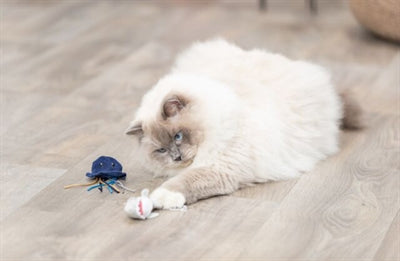 Trixie zeedier pluche met catnip assorti