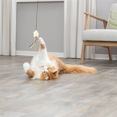 Trixie kattenhengel ster kunststof pluche met kattenkruid