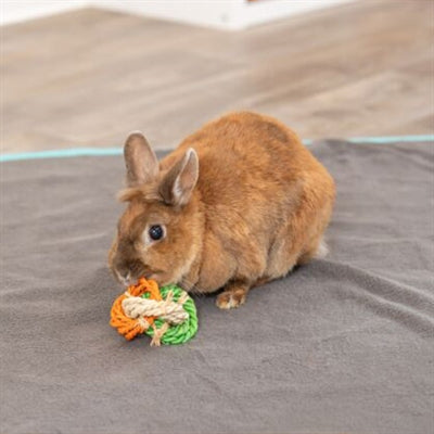 Trixie ringen van maislips