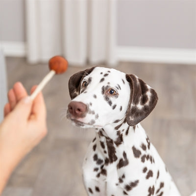 Trixie premium lolly met kabeljauw