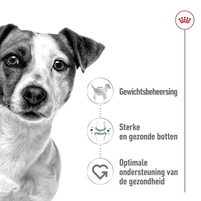 Royal Canin mini volwassen
