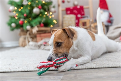 Trixie kerst flostouw bonbon