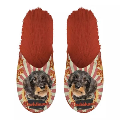 Pantoffel teckel teckel oranje