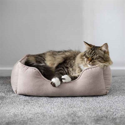 Palissander 40 winks hondenmand koord ribstof beige