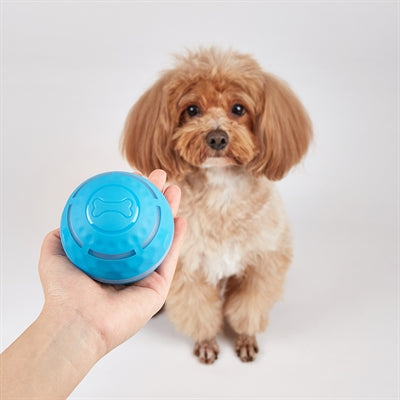Fofos rolbal oplaadbaar voor honden