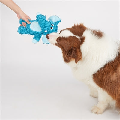 Fofos stoere olifant