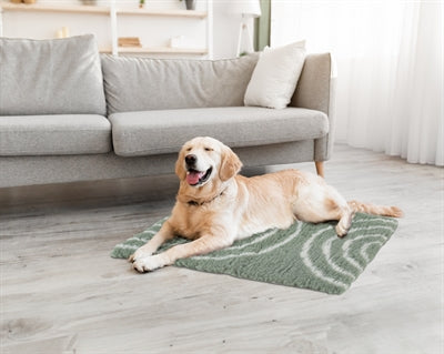 Zolux hondendekken vetbed boog groen 