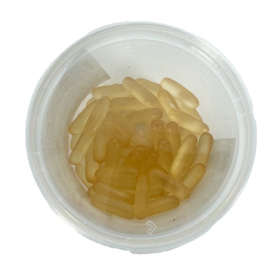 Dierendrogist zalmolie capsules