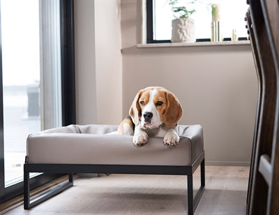 Bia luchtframe voor bed zwart