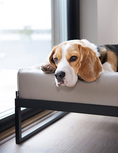 Bia luchtframe voor bed zwart