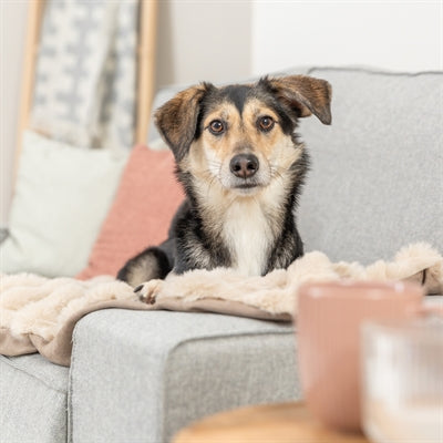 Trixie hondendeken elli zand