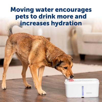 Petsafe drinkfontein viva