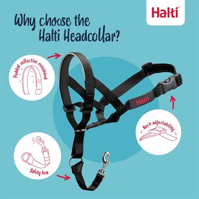 The company of animals company of animals halti headcollar zwart
