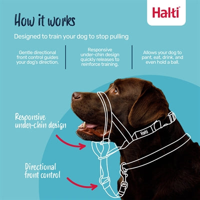 The company of animals company of animals halti headcollar zwart