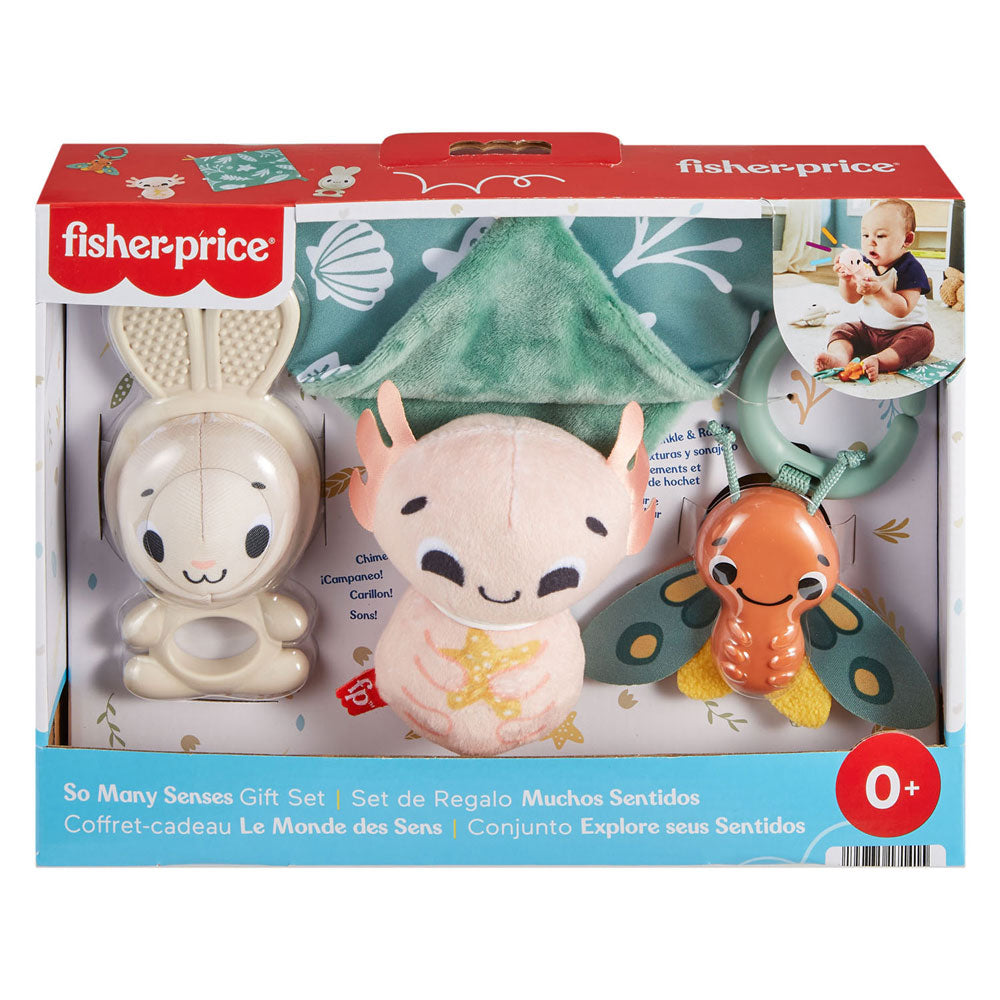 Fisher Price Kadoset, zoveel zintuigen