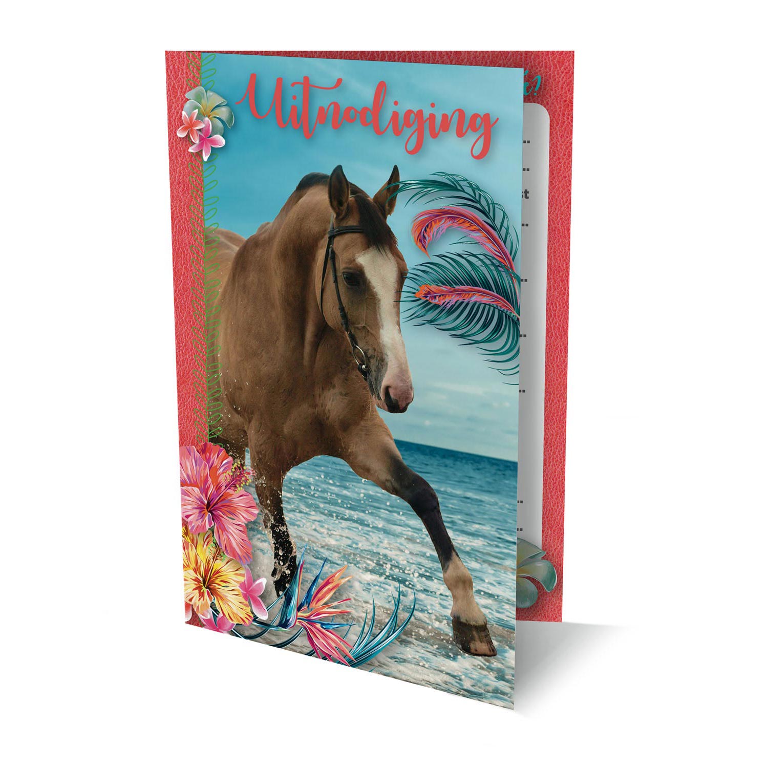 Uitnodigingen paard, 6st.