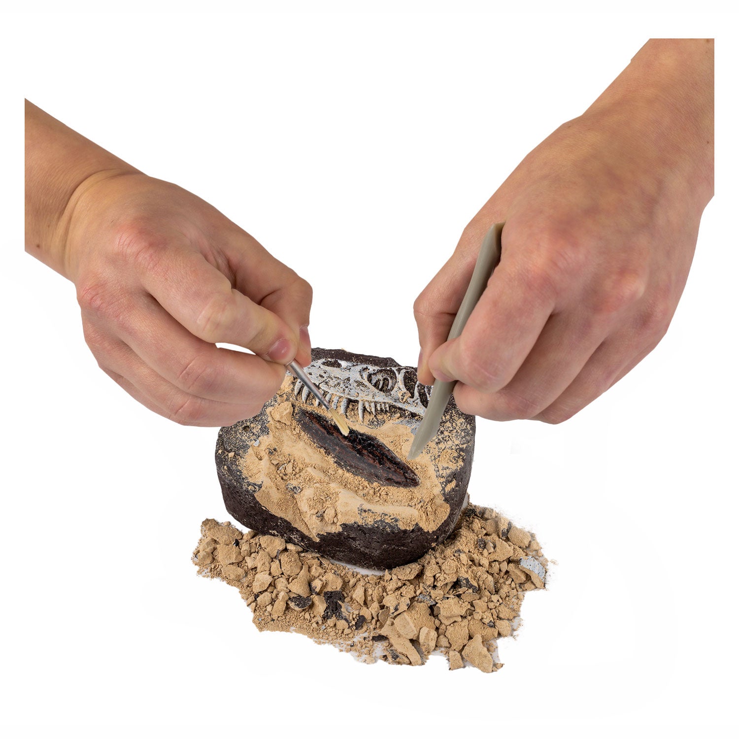 National Geographic Dinosaurus Graaf-set