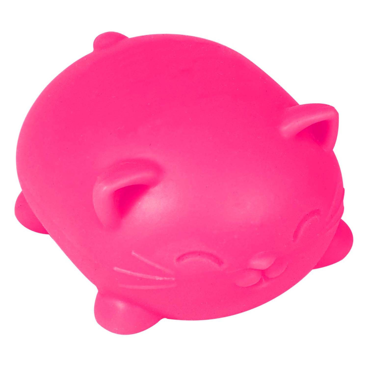 Boti needoh coole katten kat